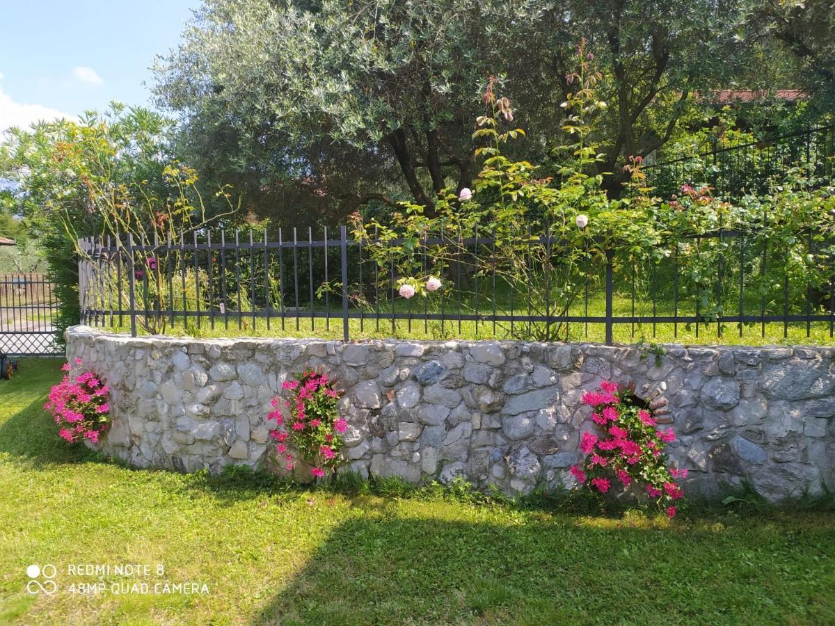 Mary Rose Apartments Oliveto Lario Exterior foto